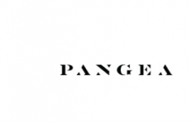 Pangea简介 公司推动汽车皮革的未来