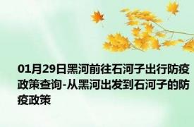 01月29日黑河前往石河子出行防疫政策查询-从黑河出发到石河子的防疫政策