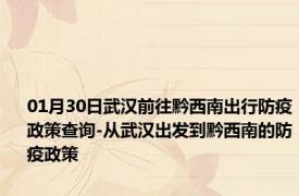 01月30日武汉前往黔西南出行防疫政策查询-从武汉出发到黔西南的防疫政策