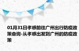 01月31日孝感前往广州出行防疫政策查询-从孝感出发到广州的防疫政策