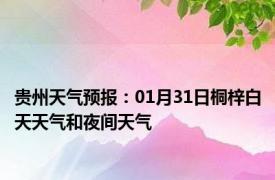 贵州天气预报：01月31日桐梓白天天气和夜间天气