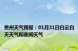 贵州天气预报：01月31日白云白天天气和夜间天气