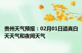 贵州天气预报：02月01日道真白天天气和夜间天气