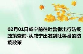 02月01日咸宁前往吐鲁番出行防疫政策查询-从咸宁出发到吐鲁番的防疫政策