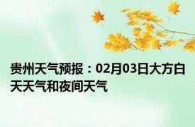 贵州天气预报：02月03日大方白天天气和夜间天气