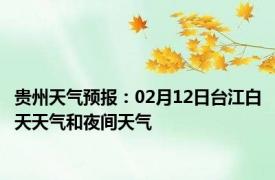 贵州天气预报：02月12日台江白天天气和夜间天气