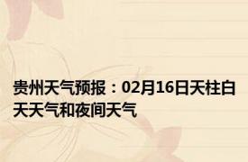 贵州天气预报：02月16日天柱白天天气和夜间天气