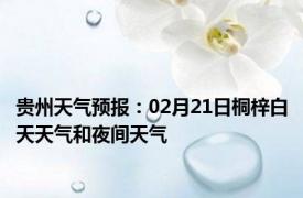 贵州天气预报：02月21日桐梓白天天气和夜间天气