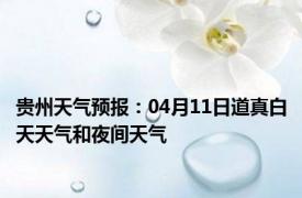 贵州天气预报：04月11日道真白天天气和夜间天气