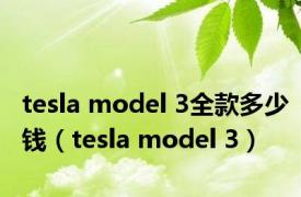 tesla model 3全款多少钱（tesla model 3）