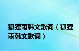 狐狸雨韩文歌词（狐狸雨韩文歌词）