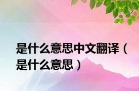 是什么意思中文翻译（是什么意思）