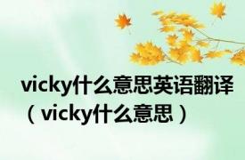 vicky什么意思英语翻译（vicky什么意思）