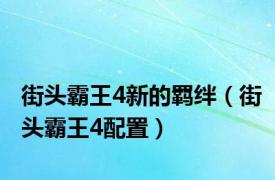 街头霸王4新的羁绊（街头霸王4配置）