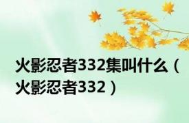 火影忍者332集叫什么（火影忍者332）