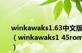 winkawaks1.63中文版（winkawaks1 45rom）