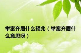 举案齐眉什么预兆（举案齐眉什么意思呀）