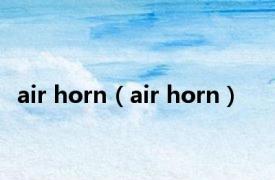 air horn（air horn）