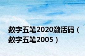 数字五笔2020激活码（数字五笔2005）