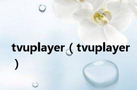 tvuplayer（tvuplayer）