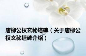 唐柳公权玄秘塔碑（关于唐柳公权玄秘塔碑介绍）