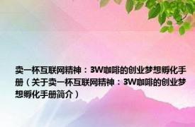 卖一杯互联网精神：3W咖啡的创业梦想孵化手册（关于卖一杯互联网精神：3W咖啡的创业梦想孵化手册简介）