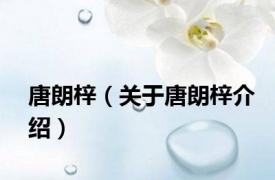 唐朗梓（关于唐朗梓介绍）