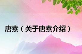 唐素（关于唐素介绍）