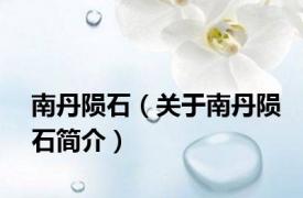 南丹陨石（关于南丹陨石简介）