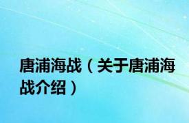 唐浦海战（关于唐浦海战介绍）