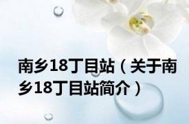 南乡18丁目站（关于南乡18丁目站简介）