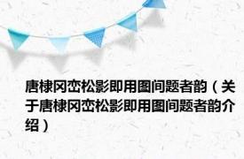 唐棣冈峦松影即用图间题者韵（关于唐棣冈峦松影即用图间题者韵介绍）