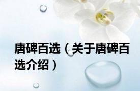 唐碑百选（关于唐碑百选介绍）