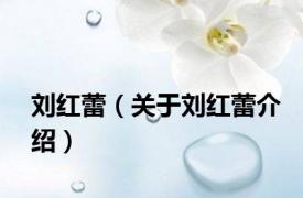 刘红蕾（关于刘红蕾介绍）