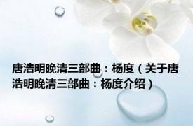 唐浩明晚清三部曲：杨度（关于唐浩明晚清三部曲：杨度介绍）