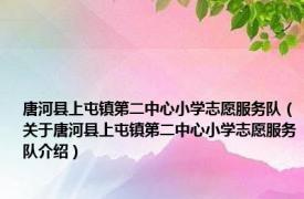 唐河县上屯镇第二中心小学志愿服务队（关于唐河县上屯镇第二中心小学志愿服务队介绍）