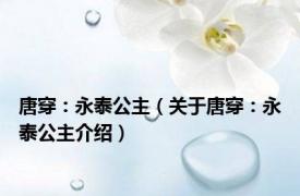 唐穿：永泰公主（关于唐穿：永泰公主介绍）