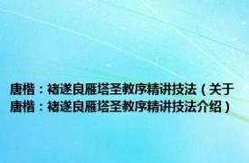 唐楷：褚遂良雁塔圣教序精讲技法（关于唐楷：褚遂良雁塔圣教序精讲技法介绍）