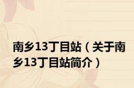 南乡13丁目站（关于南乡13丁目站简介）