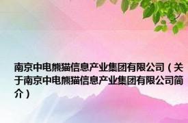 南京中电熊猫信息产业集团有限公司（关于南京中电熊猫信息产业集团有限公司简介）