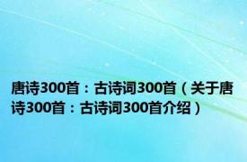 唐诗300首：古诗词300首（关于唐诗300首：古诗词300首介绍）