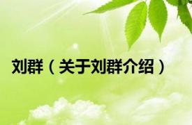 刘群（关于刘群介绍）