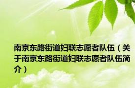 南京东路街道妇联志愿者队伍（关于南京东路街道妇联志愿者队伍简介）