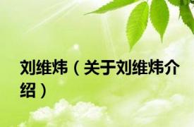 刘维炜（关于刘维炜介绍）