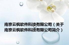 南京云枫软件科技有限公司（关于南京云枫软件科技有限公司简介）