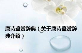 唐诗鉴赏辞典（关于唐诗鉴赏辞典介绍）