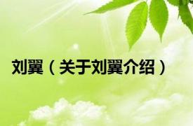 刘翼（关于刘翼介绍）