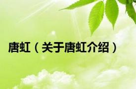 唐虹（关于唐虹介绍）