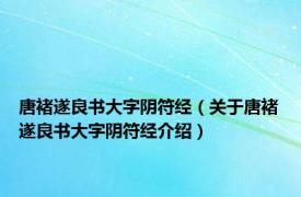 唐褚遂良书大字阴符经（关于唐褚遂良书大字阴符经介绍）