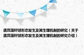 唐菖蒲籽球形态发生及其生理机制的研究（关于唐菖蒲籽球形态发生及其生理机制的研究介绍）